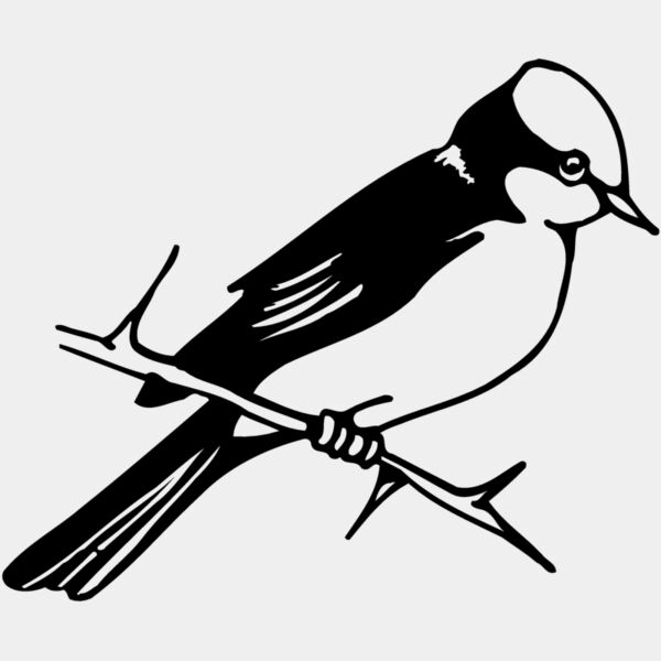 BIRD040 Thumbnail