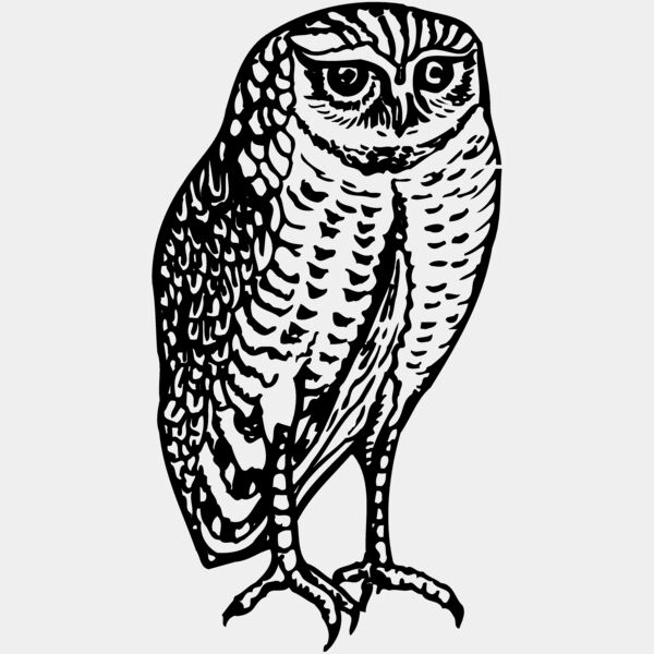 BIRD047 Thumbnail