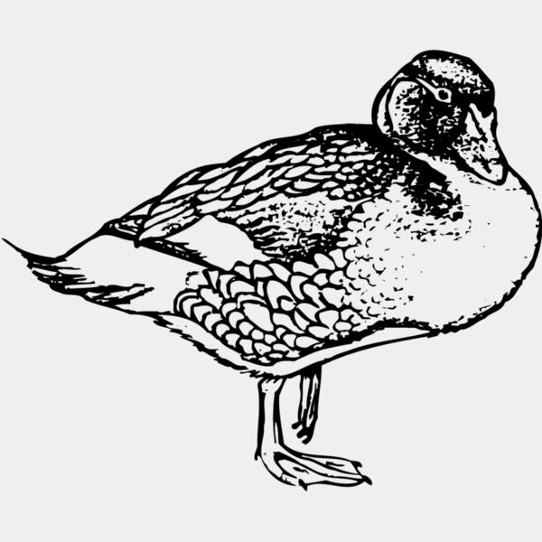 BIRD098 Thumbnail
