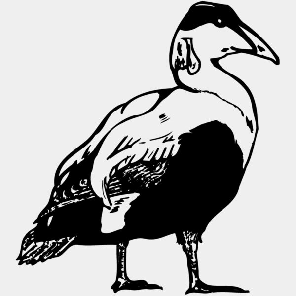 BIRD104 Thumbnail