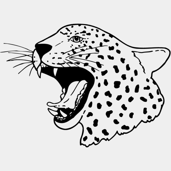CAT13 Thumbnail