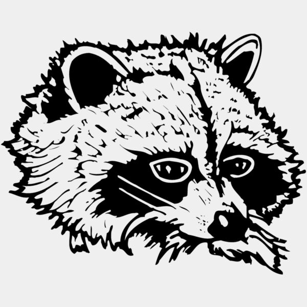 COON004 Thumbnail