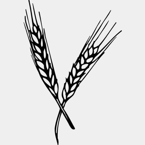 GRAIN004 Thumbnail