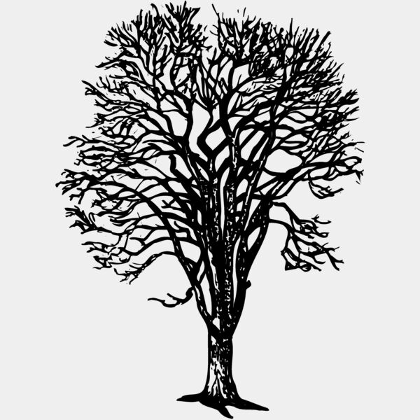 TREE0022 Thumbnail
