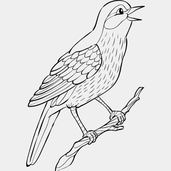 Nightingale   Clipart 2 Thumbnail