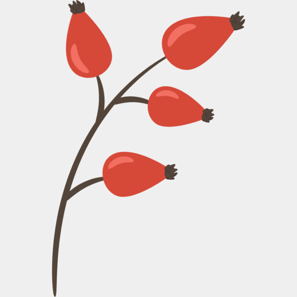 Fruit4 Thumbnail