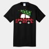 Tall Core Cotton Tee Thumbnail